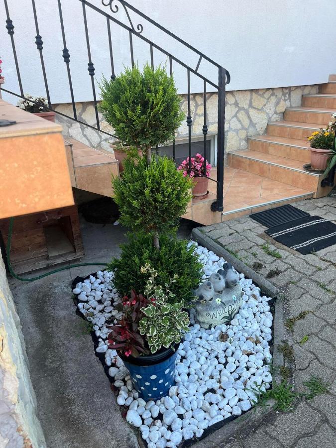 Rege Apartman Alsóörs Exteriér fotografie
